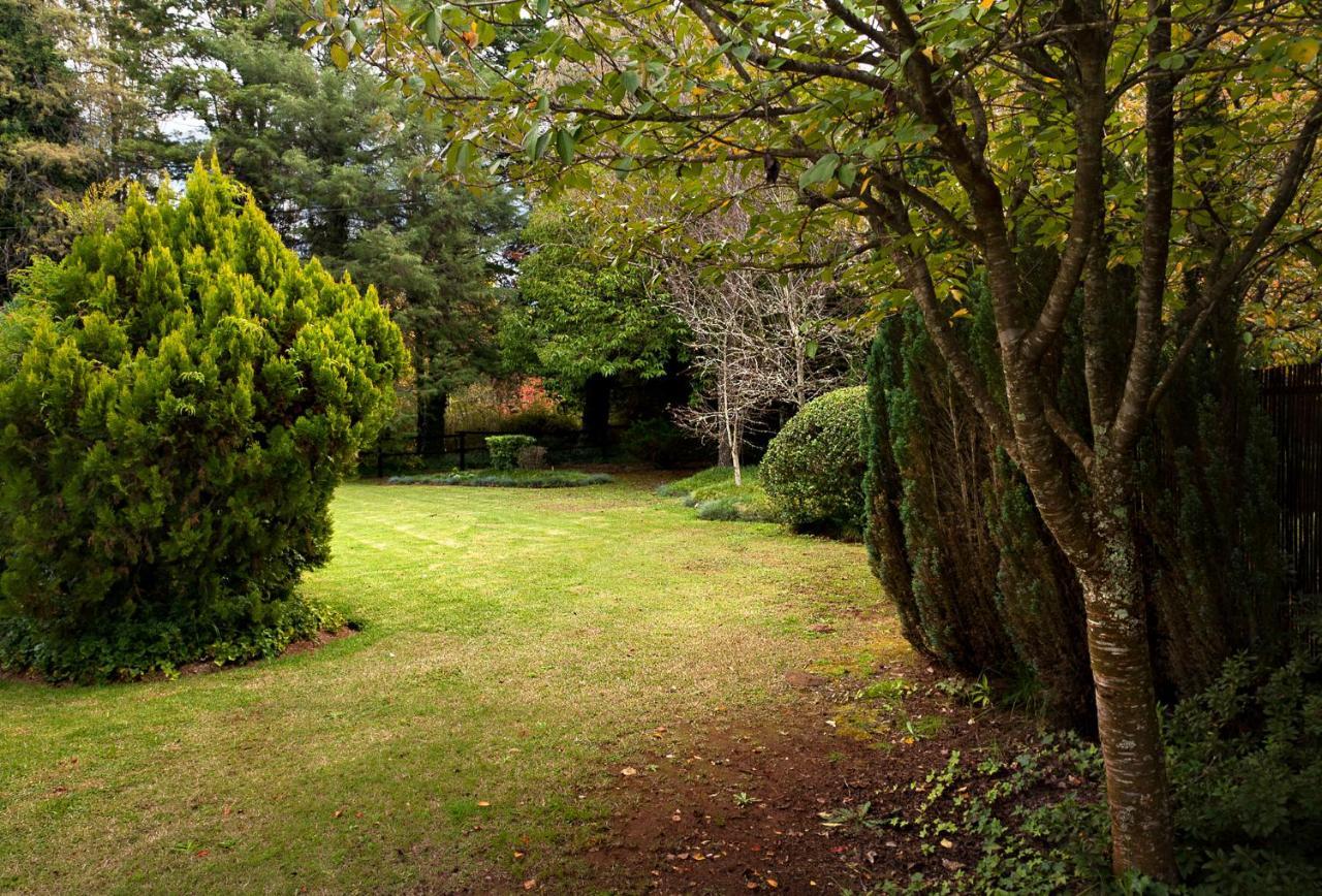 Birches Cottage & The Willows Garden Room Ъндърберг Екстериор снимка