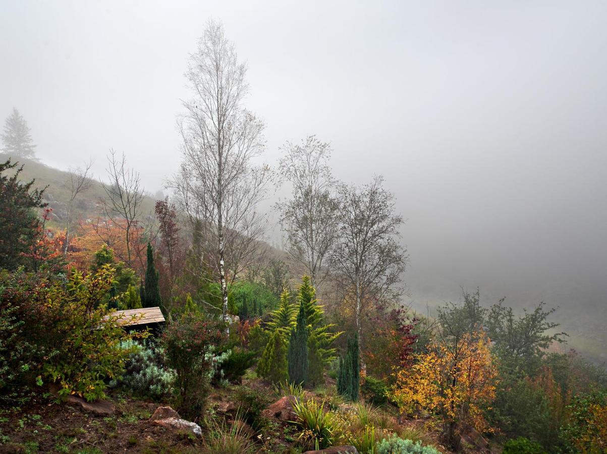 Birches Cottage & The Willows Garden Room Ъндърберг Екстериор снимка