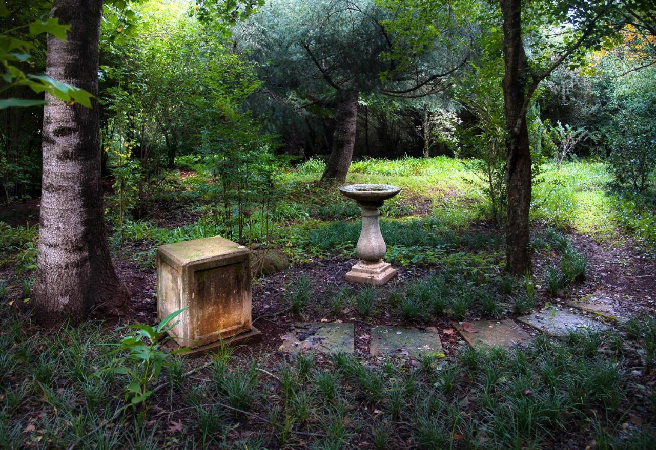Birches Cottage & The Willows Garden Room Ъндърберг Екстериор снимка