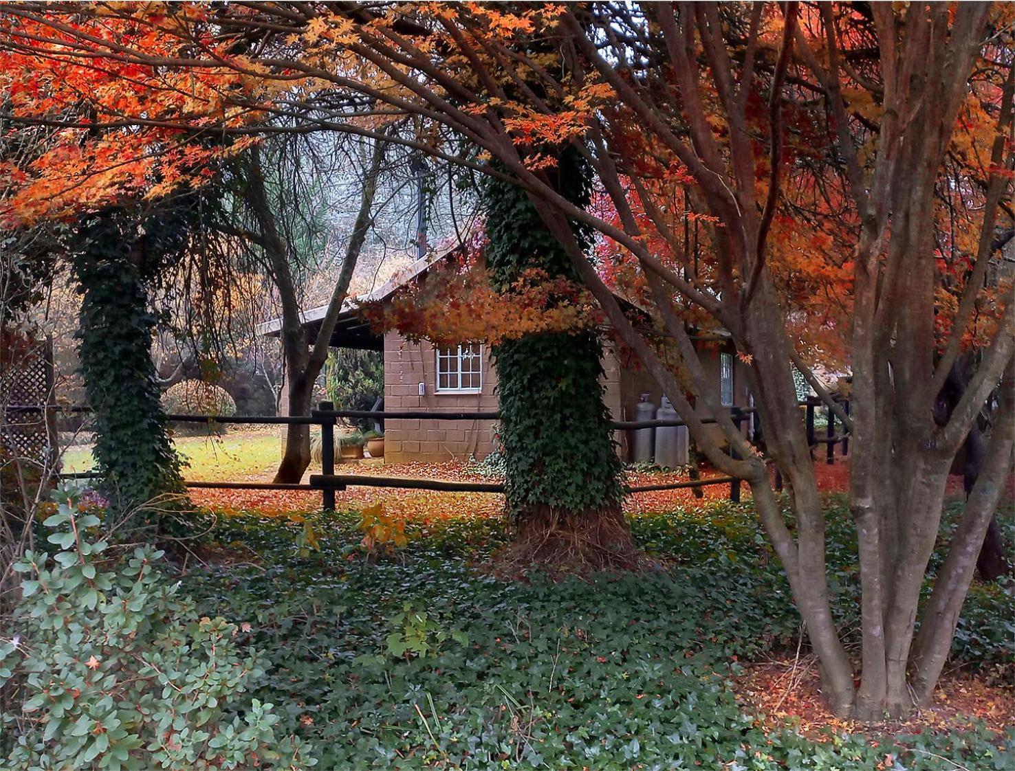 Birches Cottage & The Willows Garden Room Ъндърберг Екстериор снимка