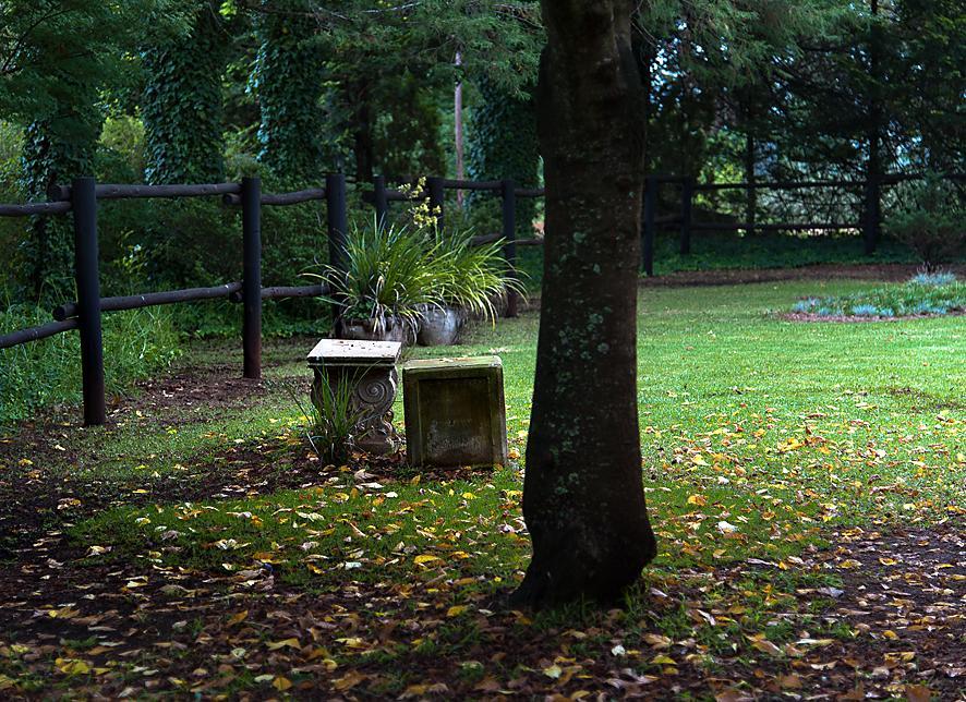 Birches Cottage & The Willows Garden Room Ъндърберг Екстериор снимка