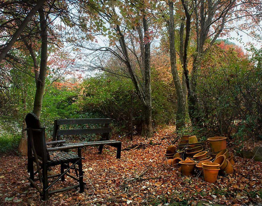 Birches Cottage & The Willows Garden Room Ъндърберг Екстериор снимка