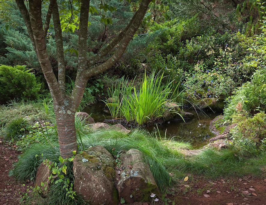 Birches Cottage & The Willows Garden Room Ъндърберг Екстериор снимка