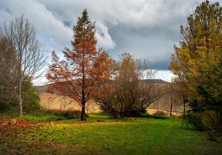 Birches Cottage & The Willows Garden Room Ъндърберг Екстериор снимка